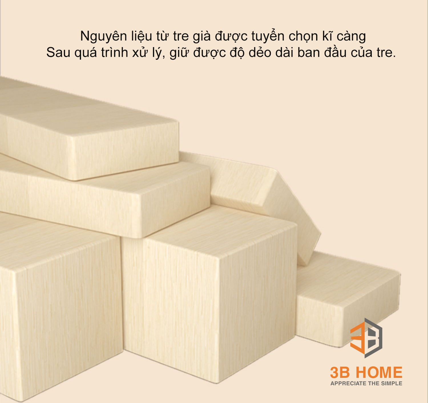 Giá treo đồ thông minh 3B Home GT02